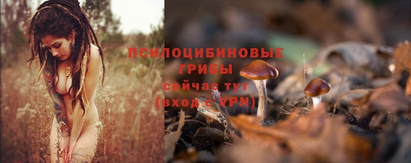apvp Нефтекумск