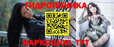 СК Гусев