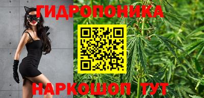 гидра Балашиха