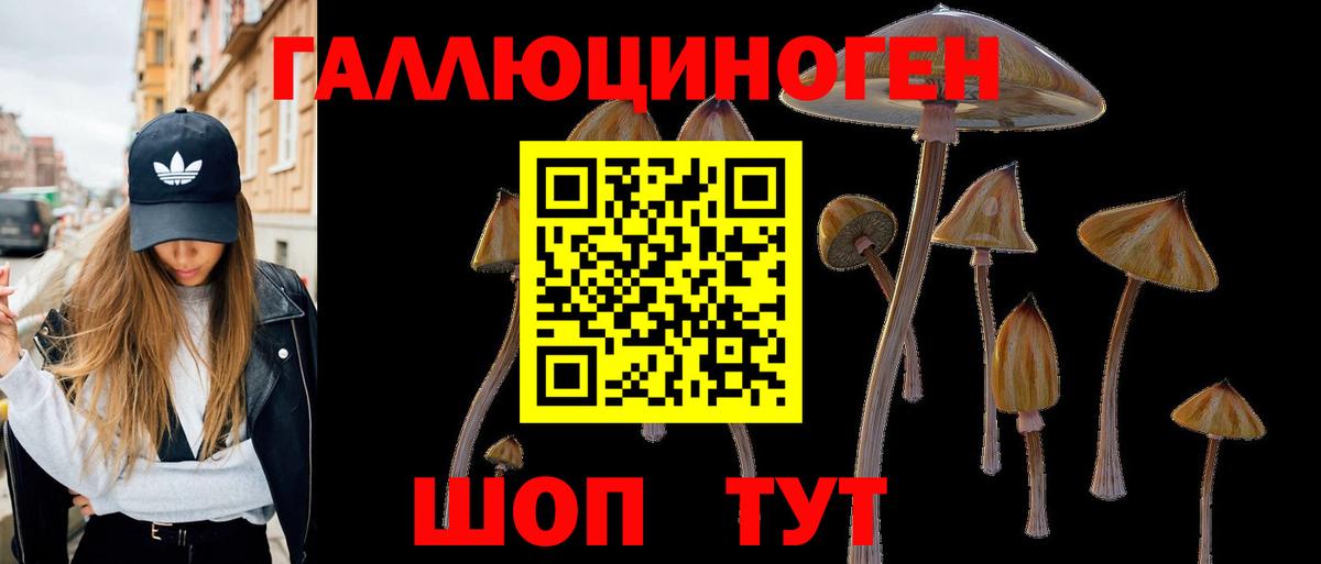 Красноармейск  Галлюциногенные грибы GOLDEN TEACHER  Вход с VPN  Галлюциногенные грибы MAGIC MUSHROOMS 