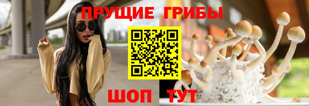 Псилоцибиновые грибы ЛСД Красноармейск